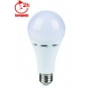 Bec LED E27 10W Glob Mat Emergenta